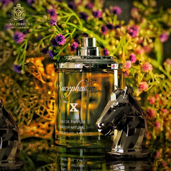 Bucephalus No. X EDP